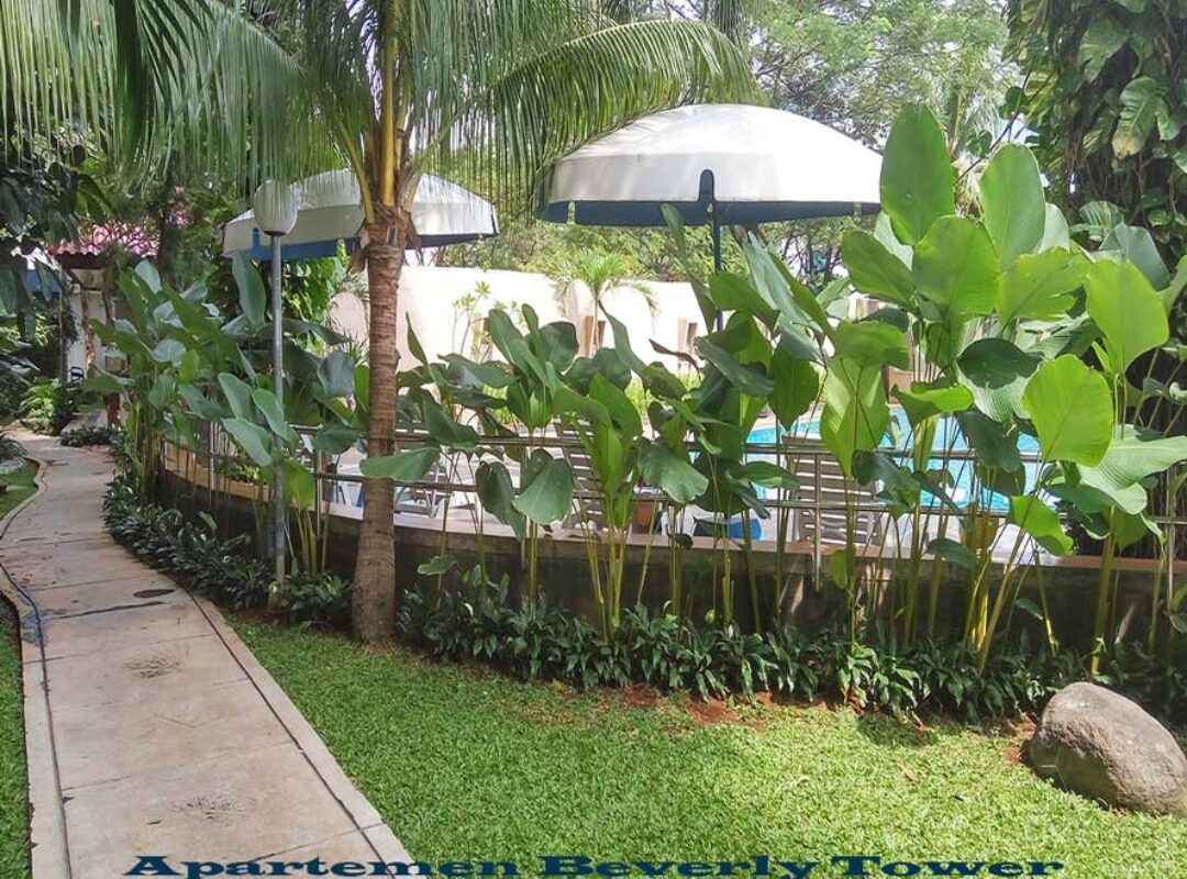 Apartemen Beverly Tower 2 10